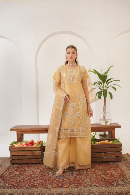 Areej ( Fancy Stitched Embrodiery Pcs )