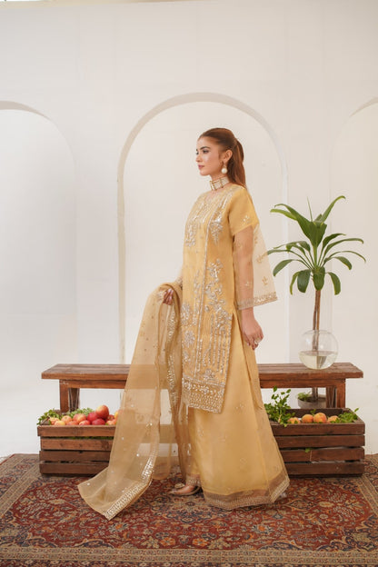 Areej ( Fancy Stitched Embrodiery Pcs )