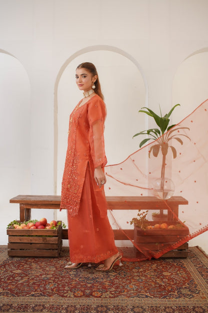 Rabeeca Fancy  ( Stitched 3 Pcs )