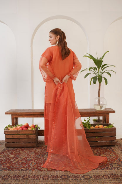 Rabeeca Fancy  ( Stitched 3 Pcs )