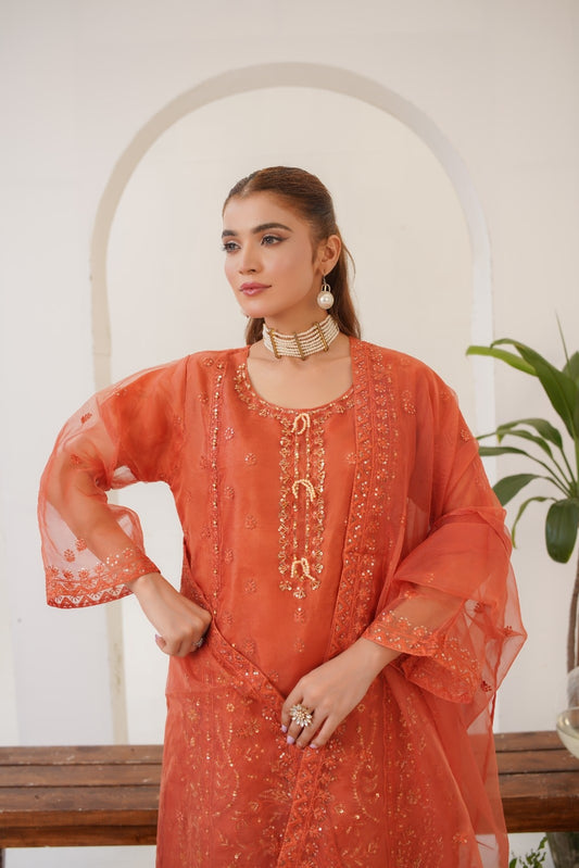 Rabeeca Fancy  ( Stitched 3 Pcs )