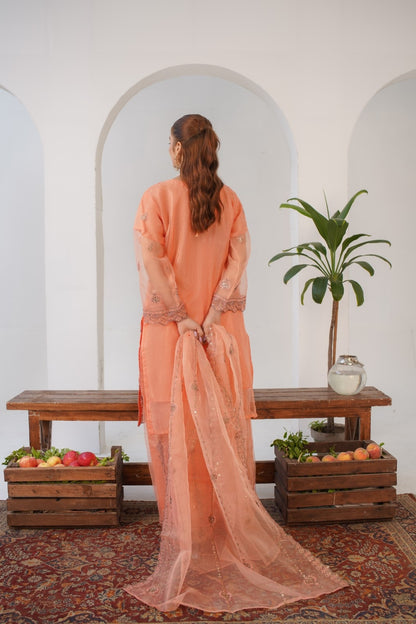 Parsa Fancy  ( Stitched 3 Pcs )