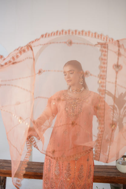 Parsa Fancy  ( Stitched 3 Pcs )