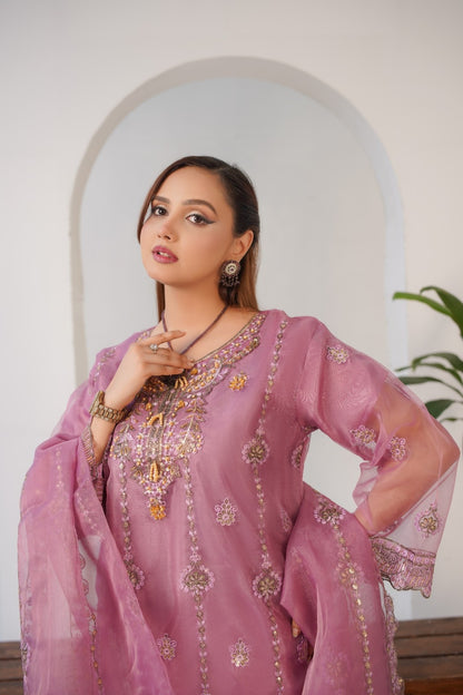 Parsa Fancy  ( Stitched 3 Pcs )