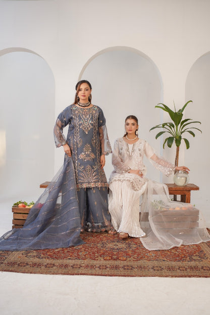 Payal (  Fancy Stitched 3 Pcs )